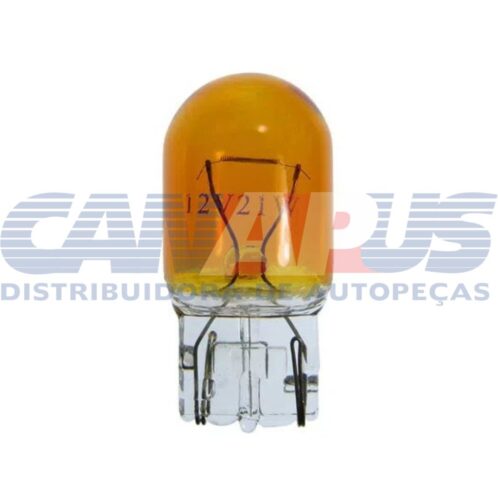 Lampada Extra Pingao 12v 1 Polo Amb