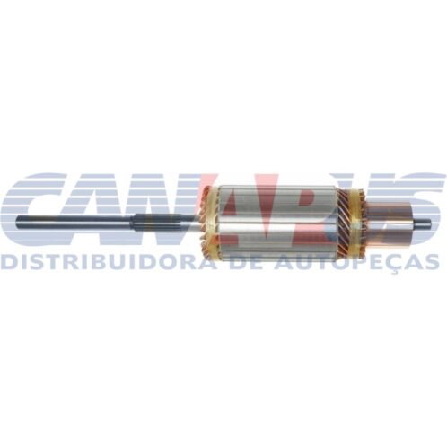 Induzido - 42M 12v Challenger / Clark