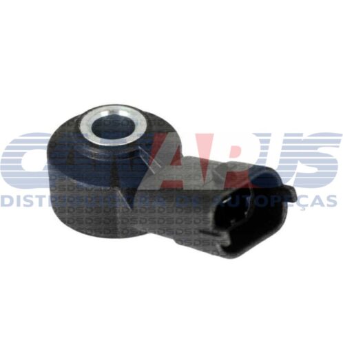 Sensor De Deton.-Palio / Siena / Corsa