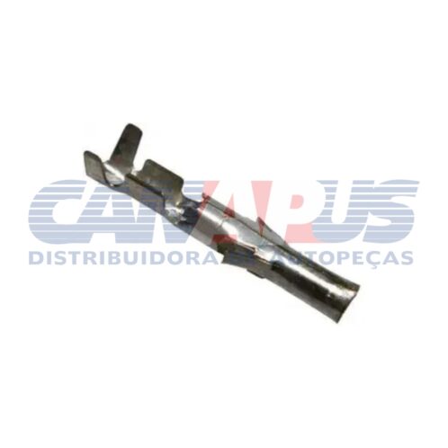 Terminal Femea - (binoculo) C/ 100
