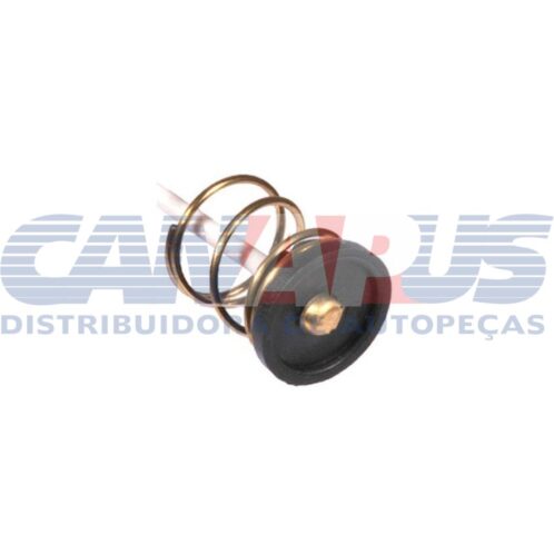 Rabicho 1 Polo Emb