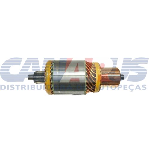 Induzido - 29mt 12v 12d