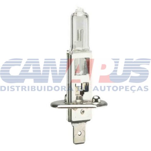Lampada H-1 24v Biodo