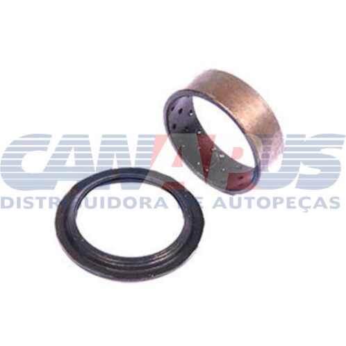 Bucha - Ret. Inox Partida - Gol / Parati Todos