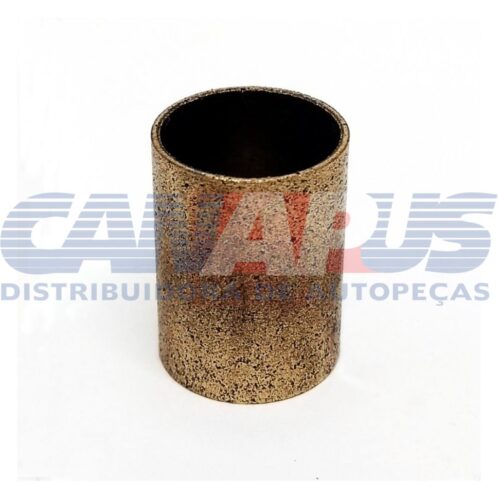 Bucha - Opala / C-10 Motriz