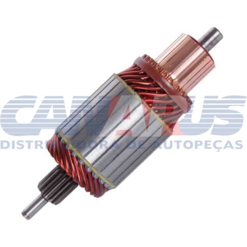 Induzido - M100 12v/12d Prestolite