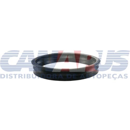 Guarnição – Ford