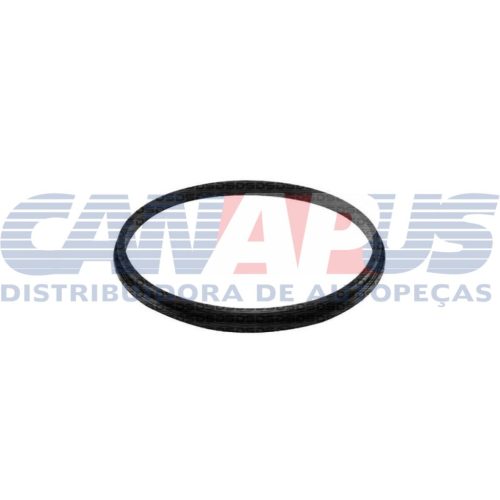 Guarnição – Gm Flange Modulo De Combustivel