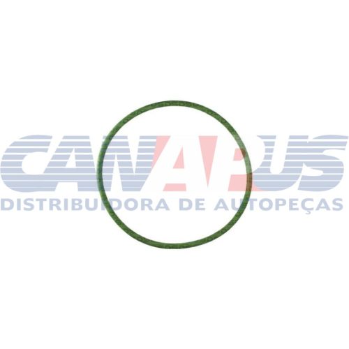 Guarnição – Gm / Toyota Flange Modulo De Combustivel