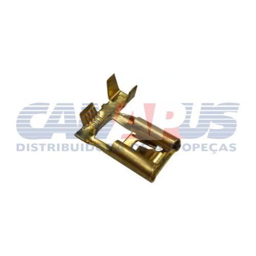 Terminal Farol – C/ Trava