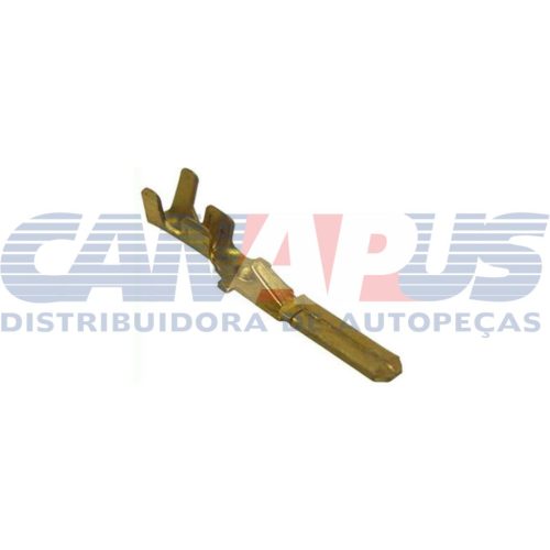 Terminal – Macho C/ Trava Mosquitinho