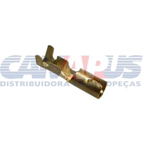 Terminal – Femea (moto)