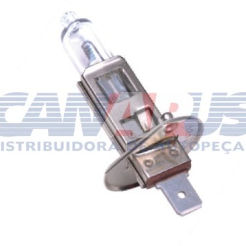 Lampada H-1 24v Biodo