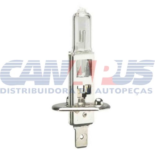 Lampada H-1 12v Biodo