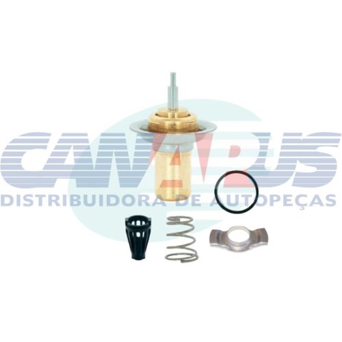 Valvula Termostatica – Fiat / Gm