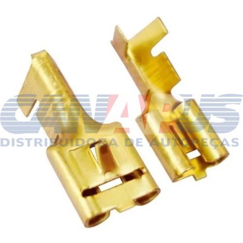 Terminal Femea Com Trava