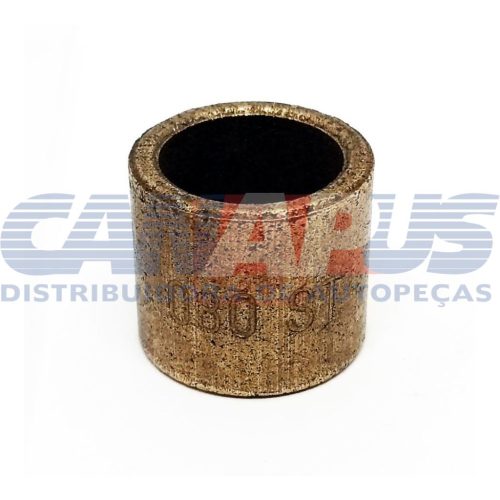 Bucha – Pampa / Gm Motriz