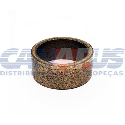 Bucha – Mbb Jf / Intermediaria