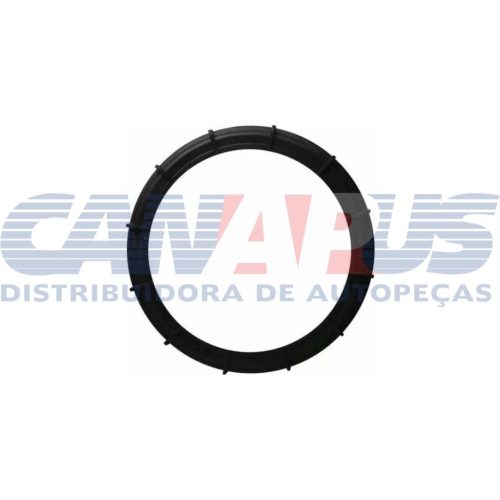 Porca De Fixacao Da Flange – Renault