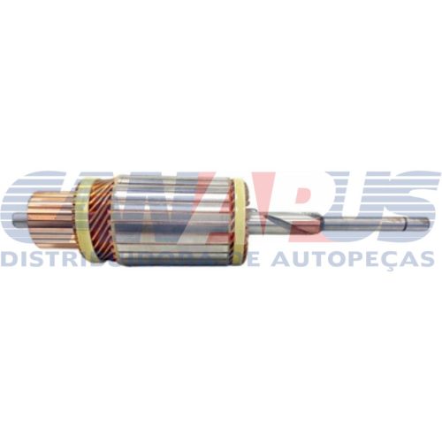 Induzido – 37 Mt 12V/3D
