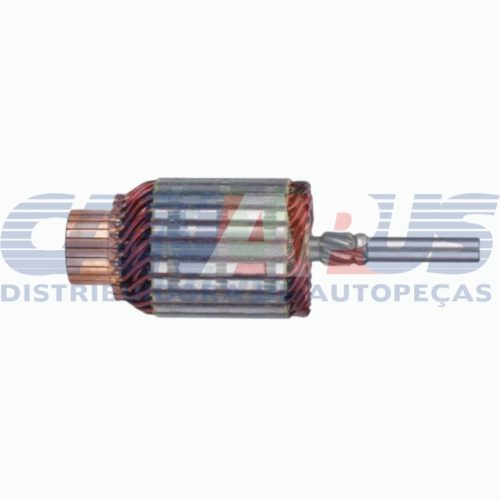 Induzido – Ford Ecosport 12v/8d